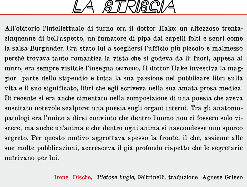 la striscia dische a misura