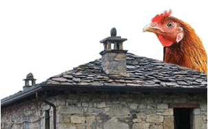 Schermata 2016-11-14 alle 18.04.50.png