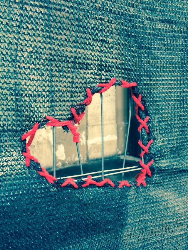 12963768_1080187292003906_8828253050056998611_n