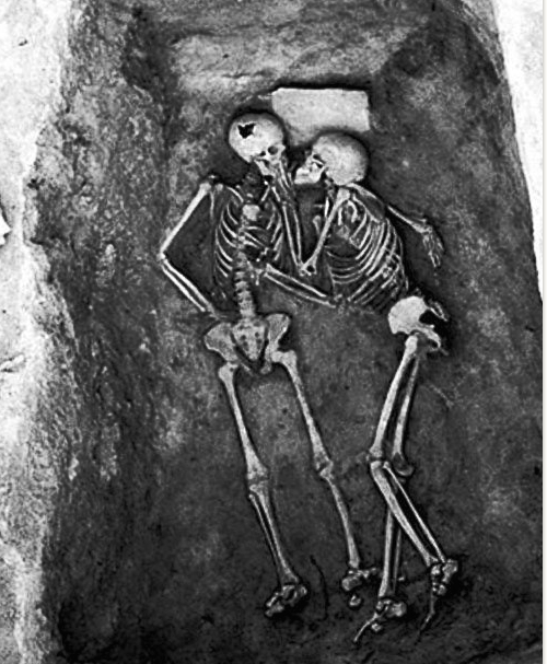 Schermata 2018-03-08 alle 16.55.27.png